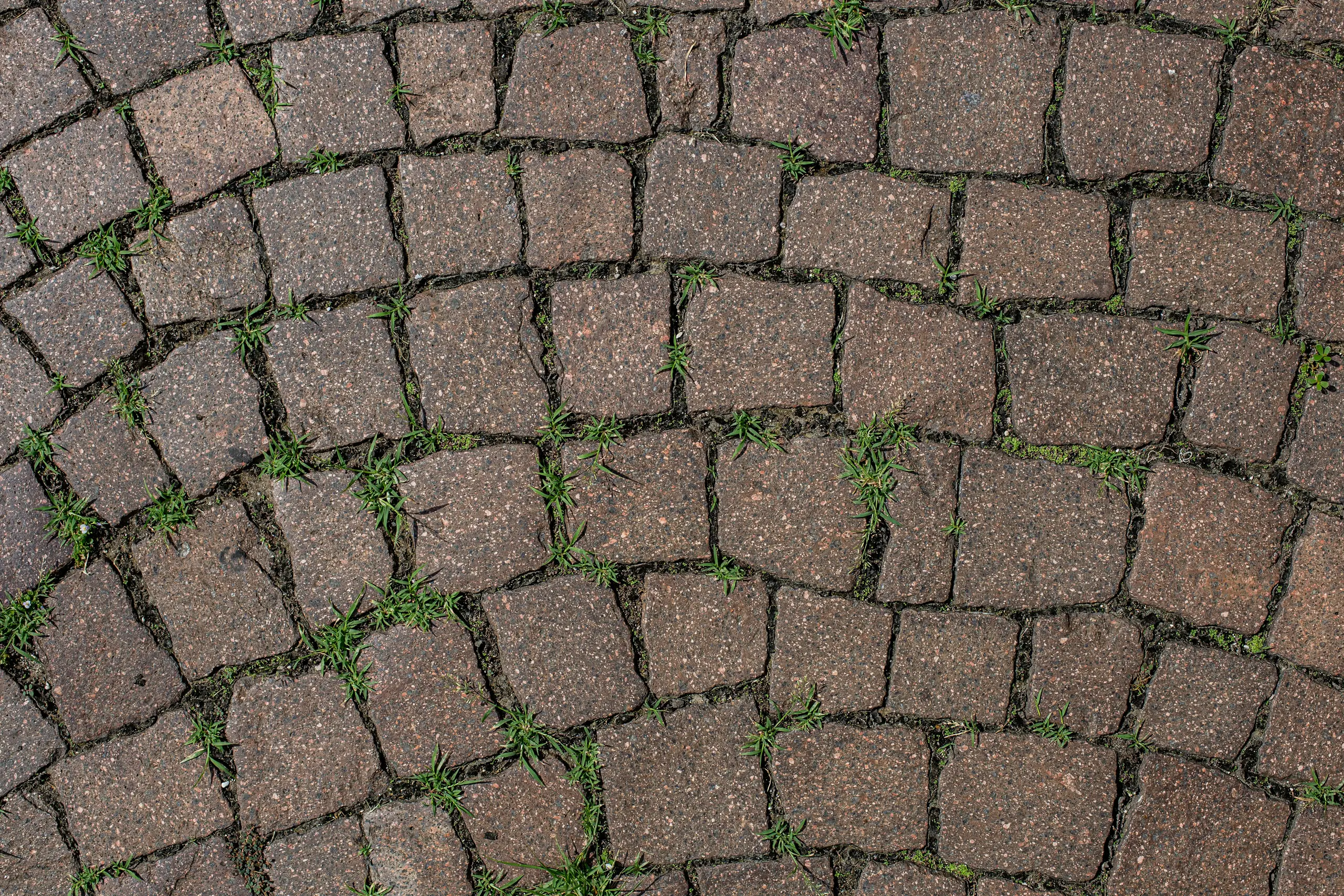 paving services